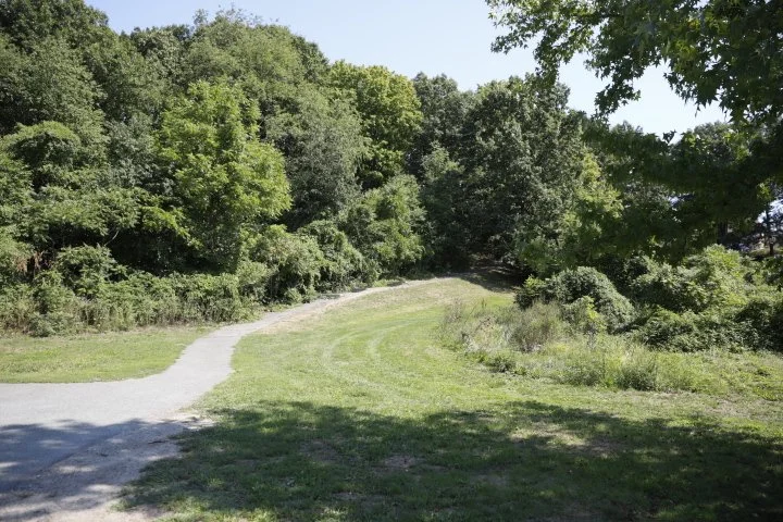 LarzAndersonPark_123.JPG