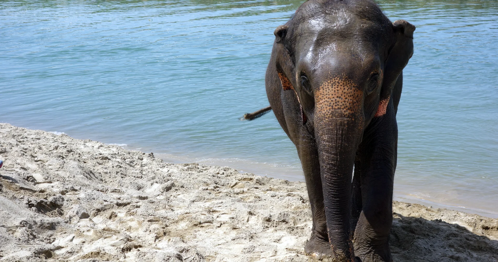 CHITWAN NATIONAL PARK