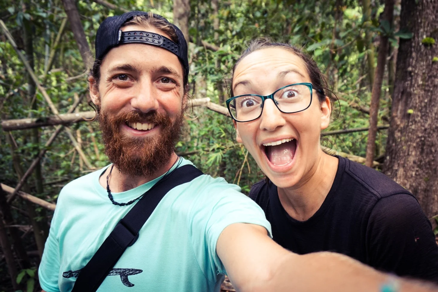 HUAY XAI & THE GIBBON EXP