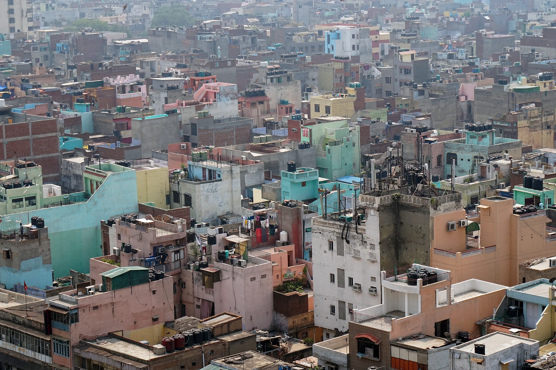 DELHI