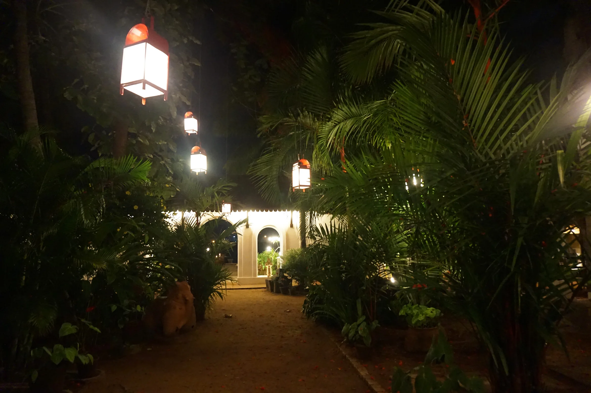 24-05-2015 DSC04996.JPG