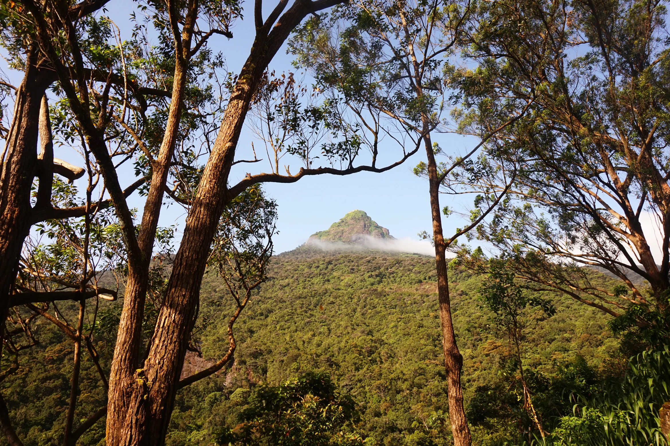 ADAM'S PEAK