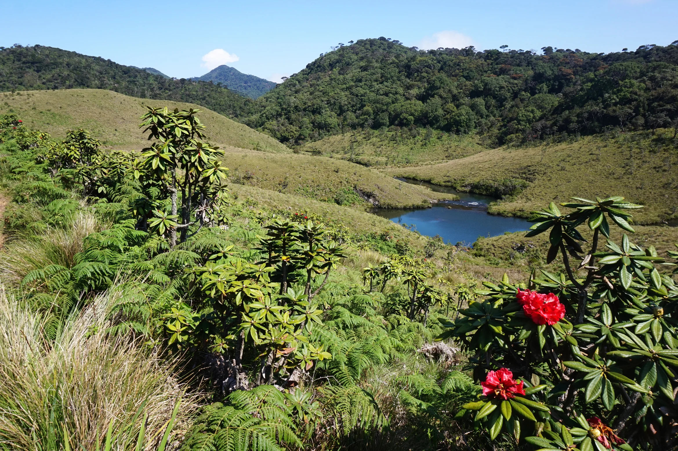 OHIYA & HORTON PLAINS