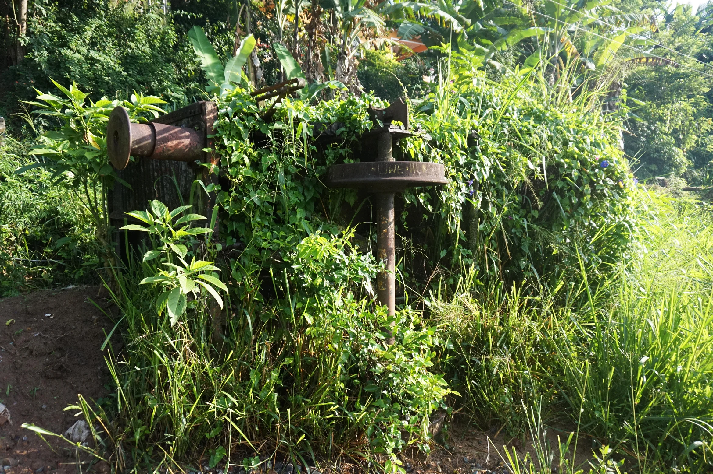 31-05-2015 DSC05506.JPG