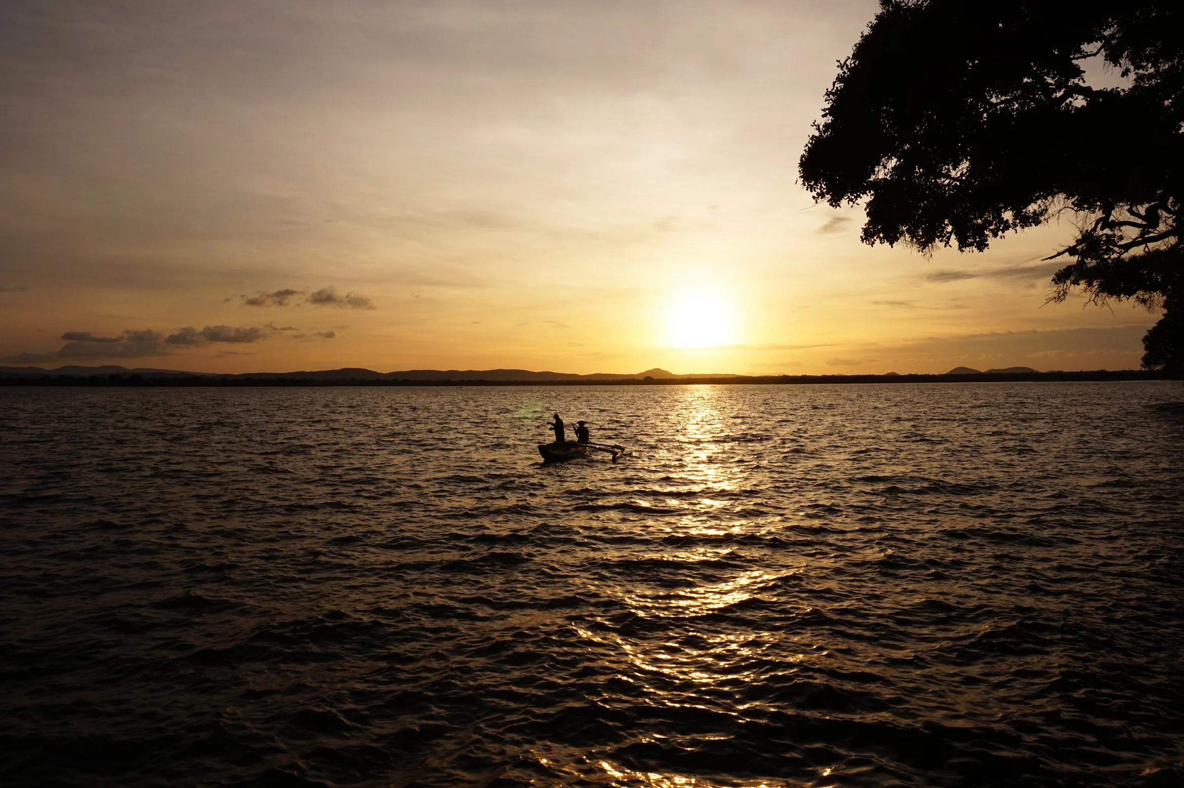 12-06-2015 DSC06522.JPG