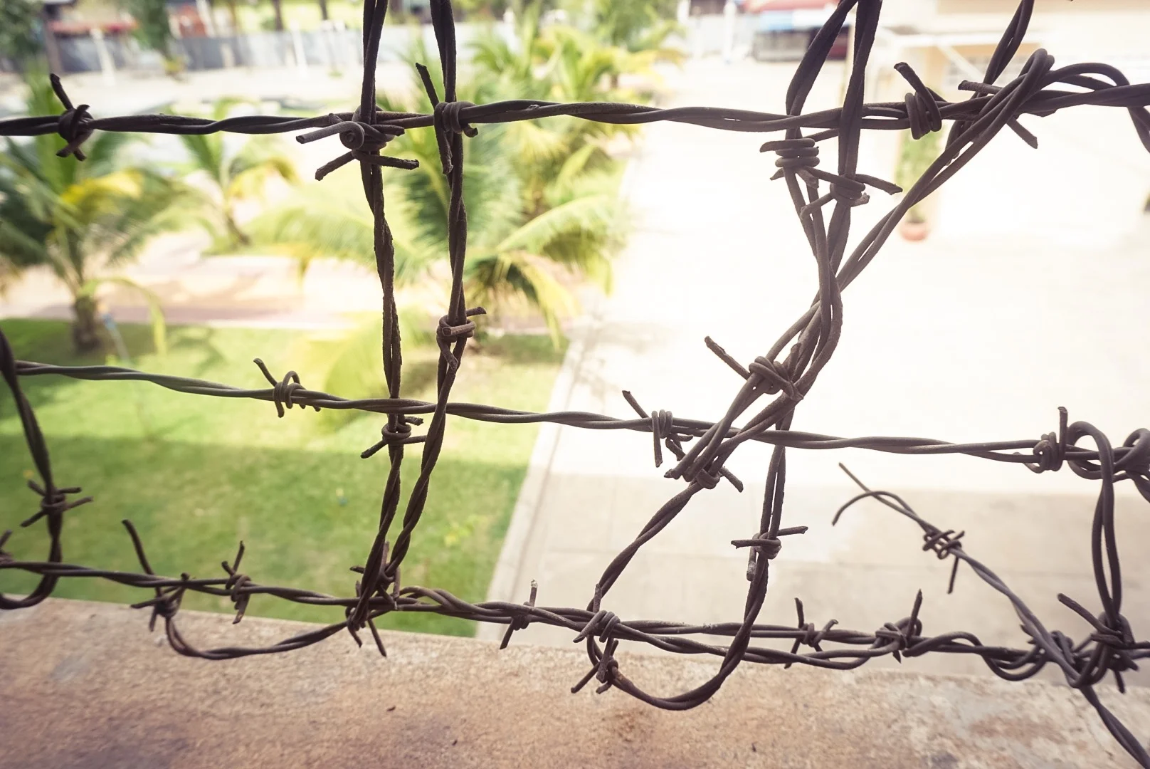 13-07-2015 IMG_7020.JPG