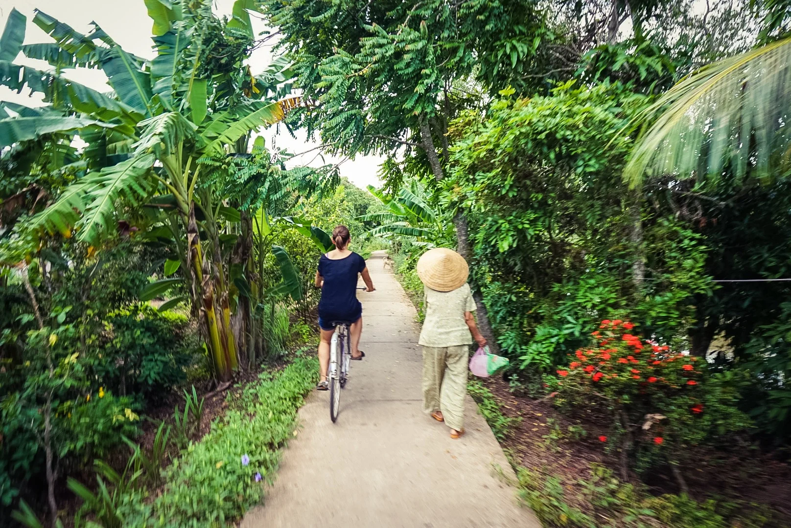 20-07-2015 IMG_7757.JPG