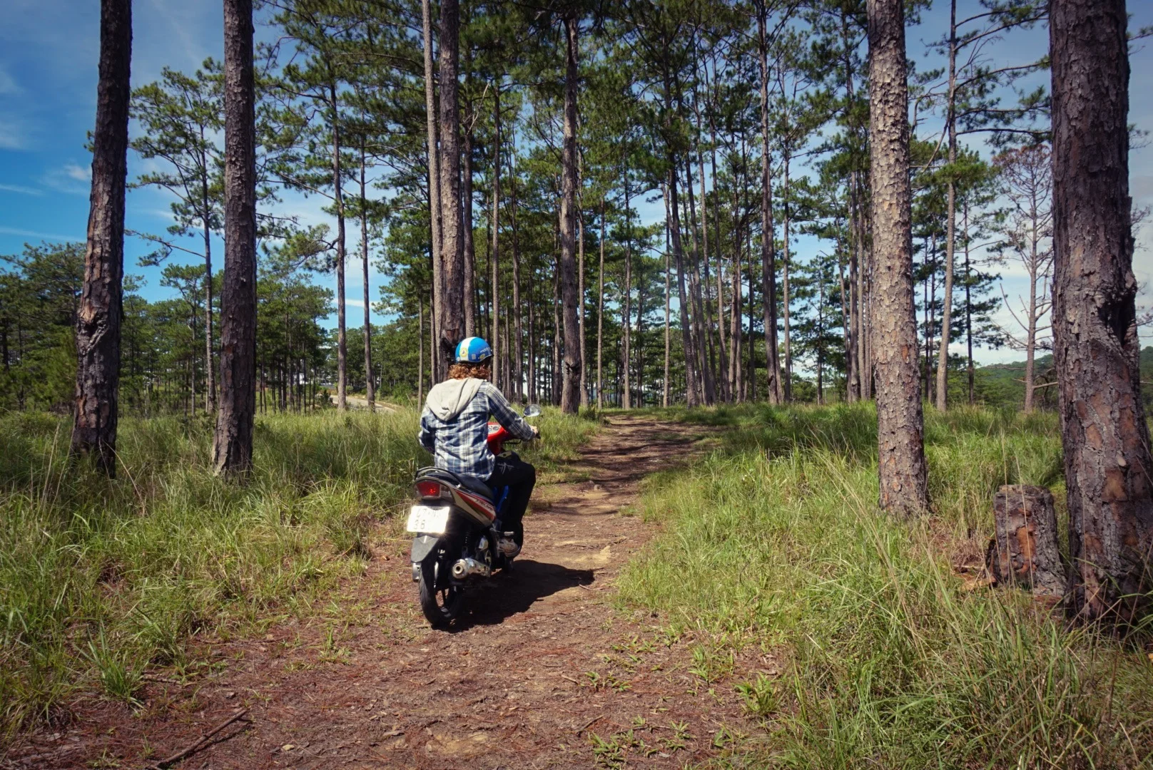 23-07-2015 IMG_2191 copy.JPG