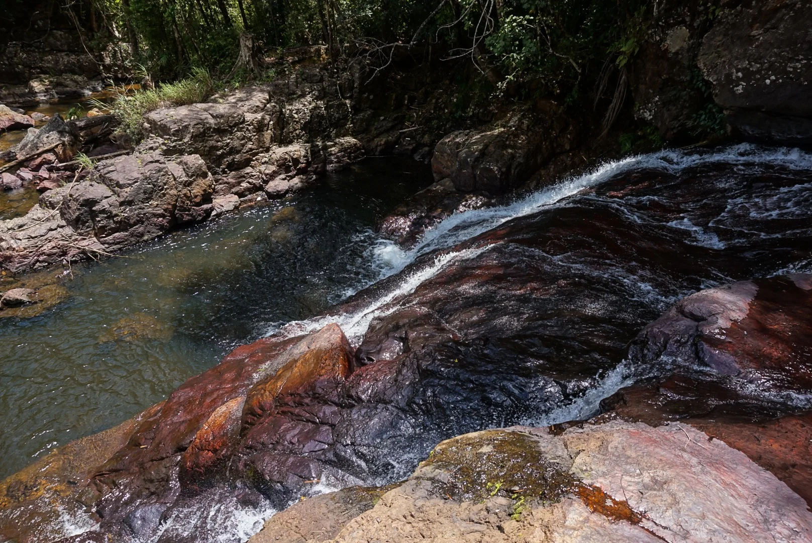 23-07-2015 IMG_2209 copy.JPG