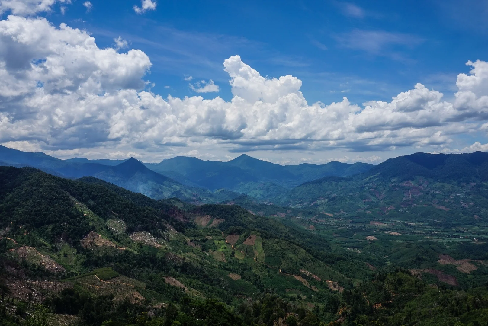 23-07-2015 IMG_2223 copy.JPG