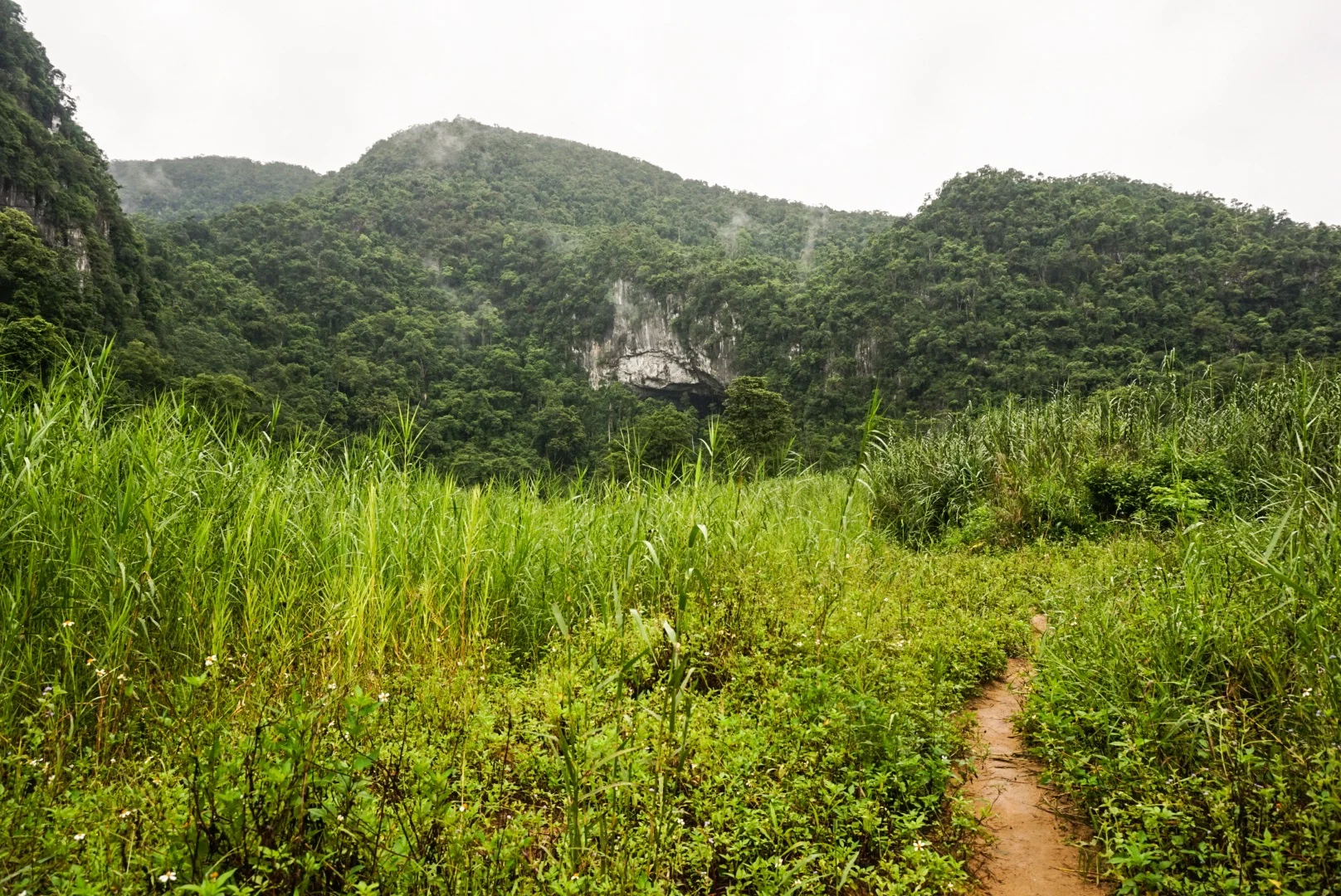 29-07-2015 IMG_2556 copy.JPG