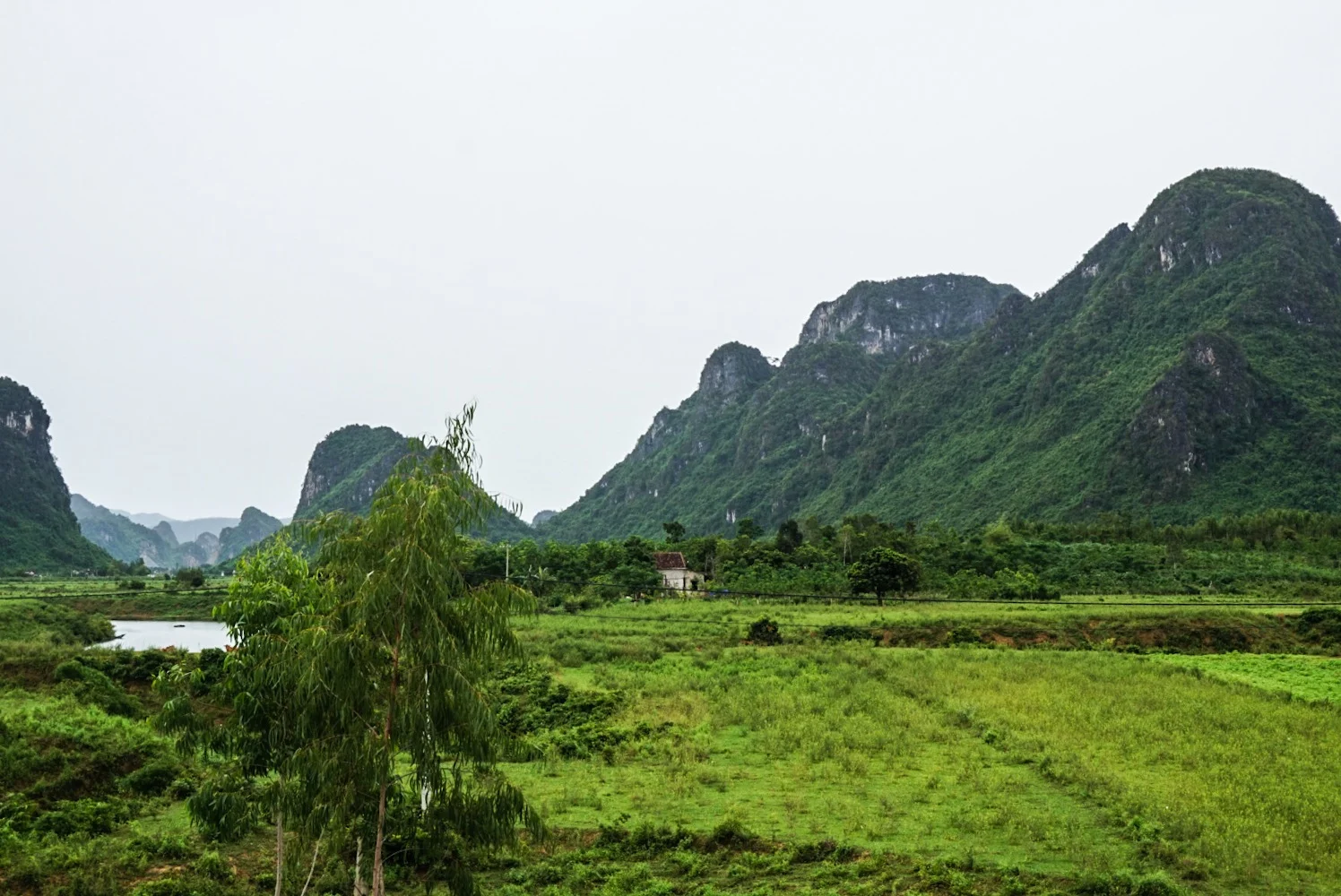 31-07-2015 IMG_2615 copy.JPG