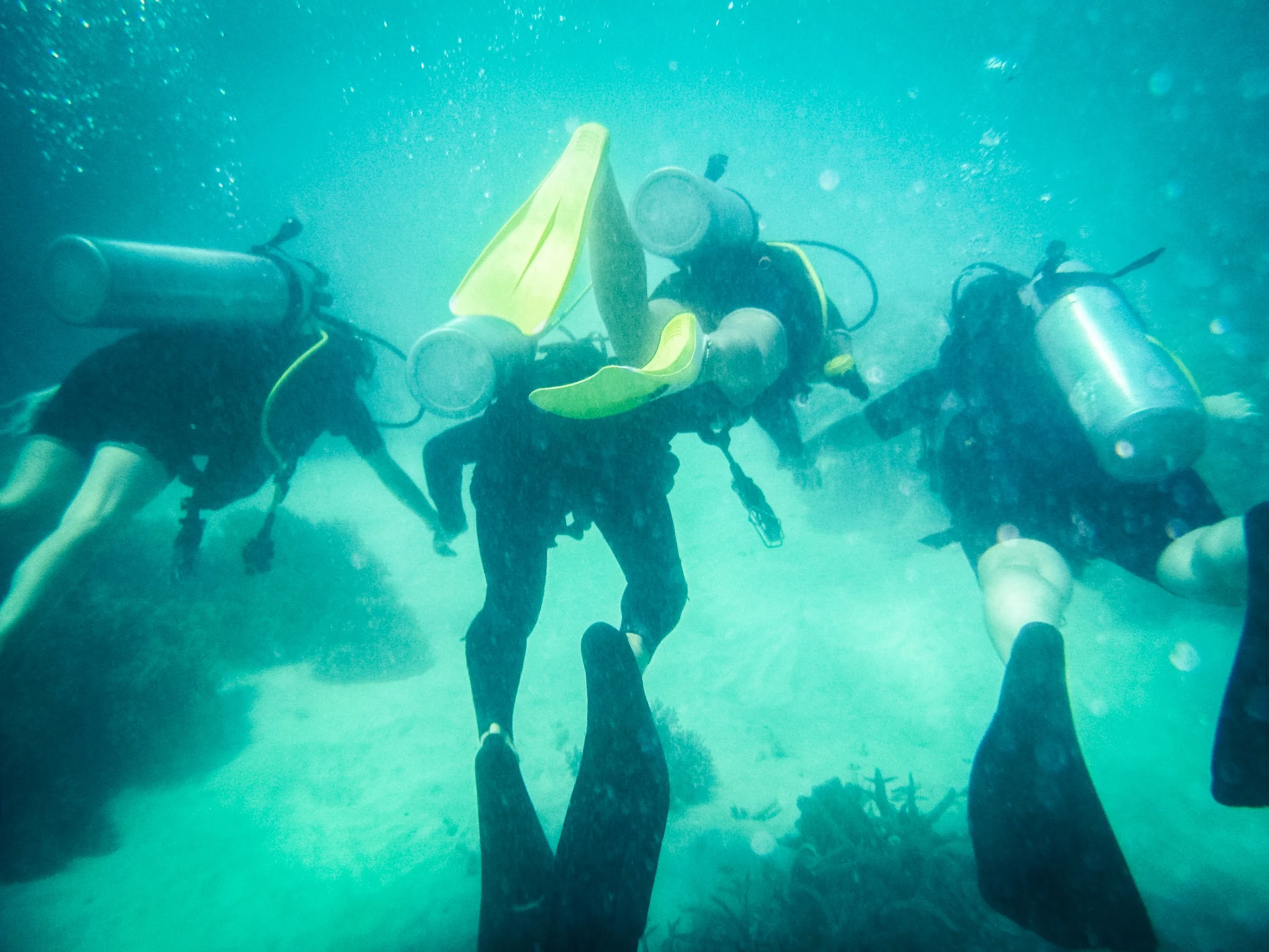 THE GREAT BARRIER REEF