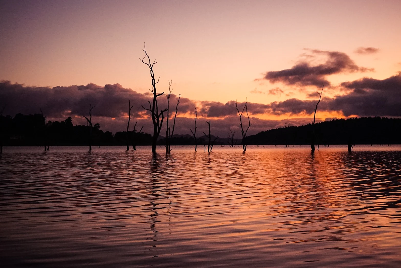 CAIRNS TO MISSION BEACH