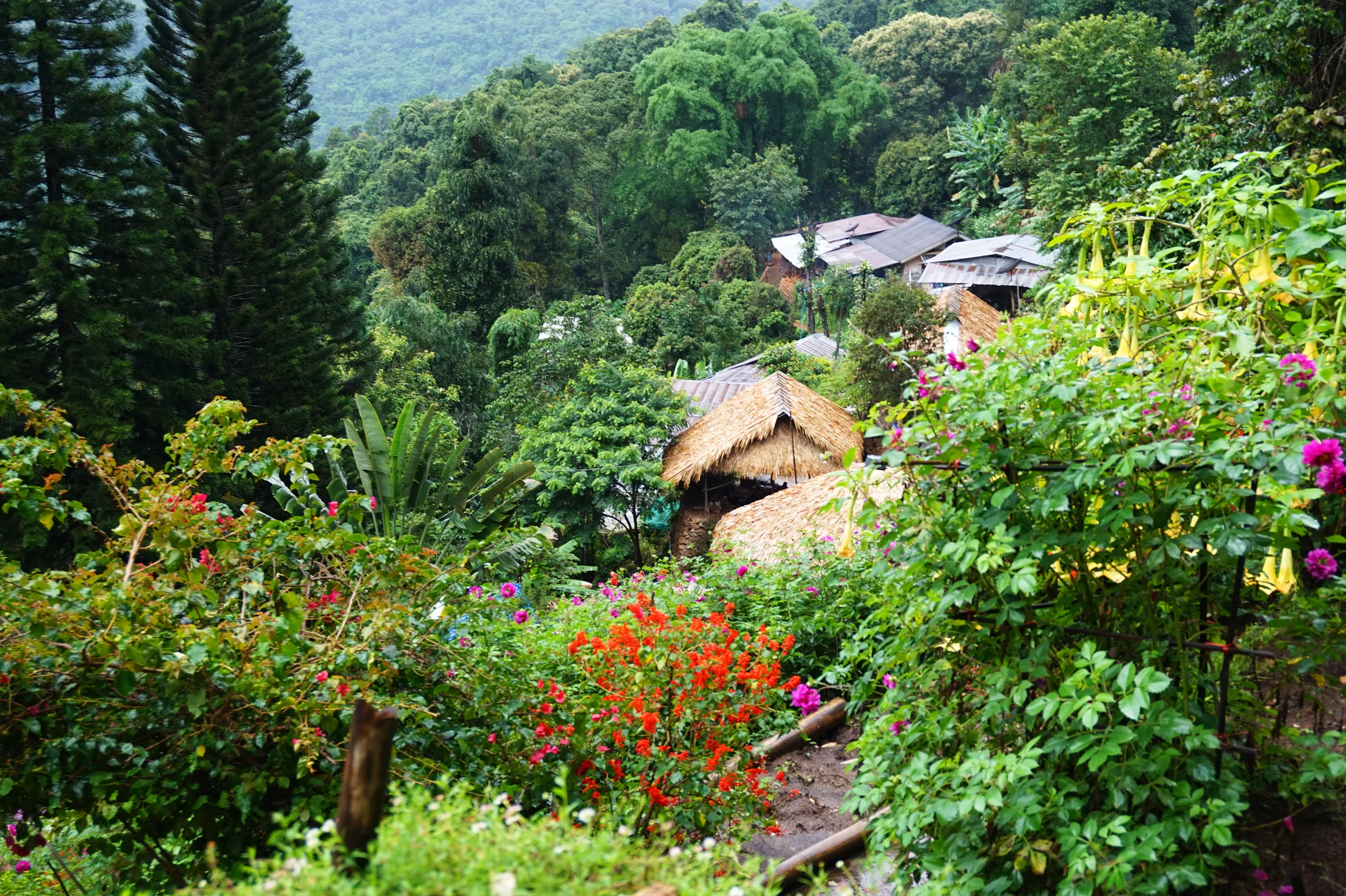 13-08-2015 DSC02959.JPG