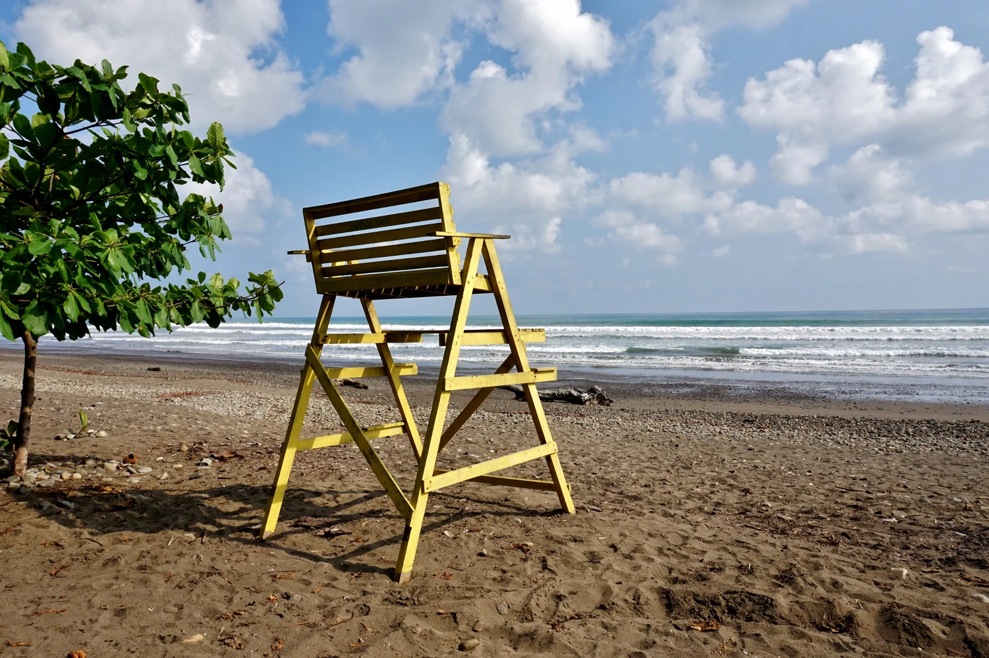 DSC09139 (2000x1332).jpg