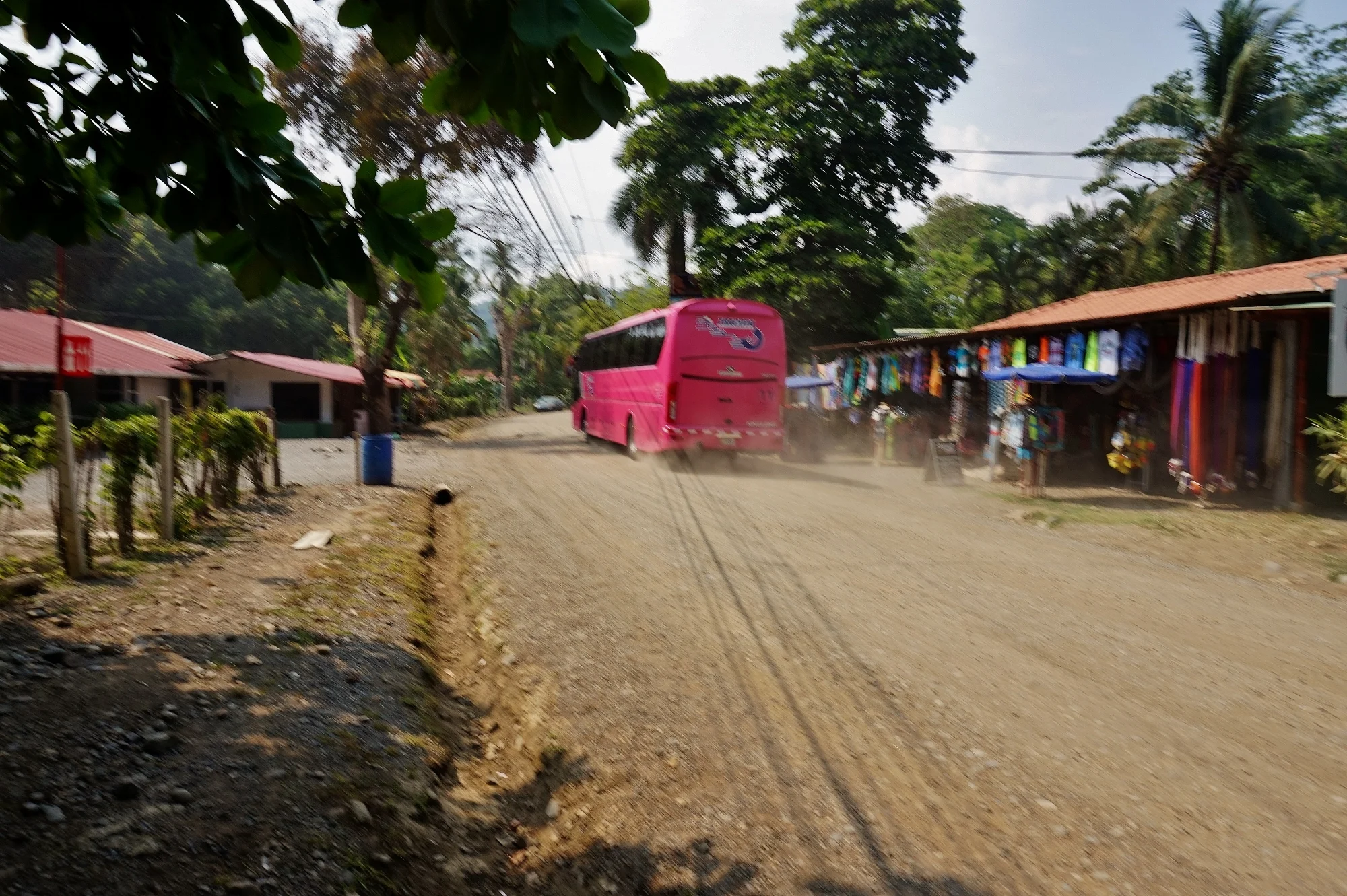 DSC09196 (2000x1331).jpg