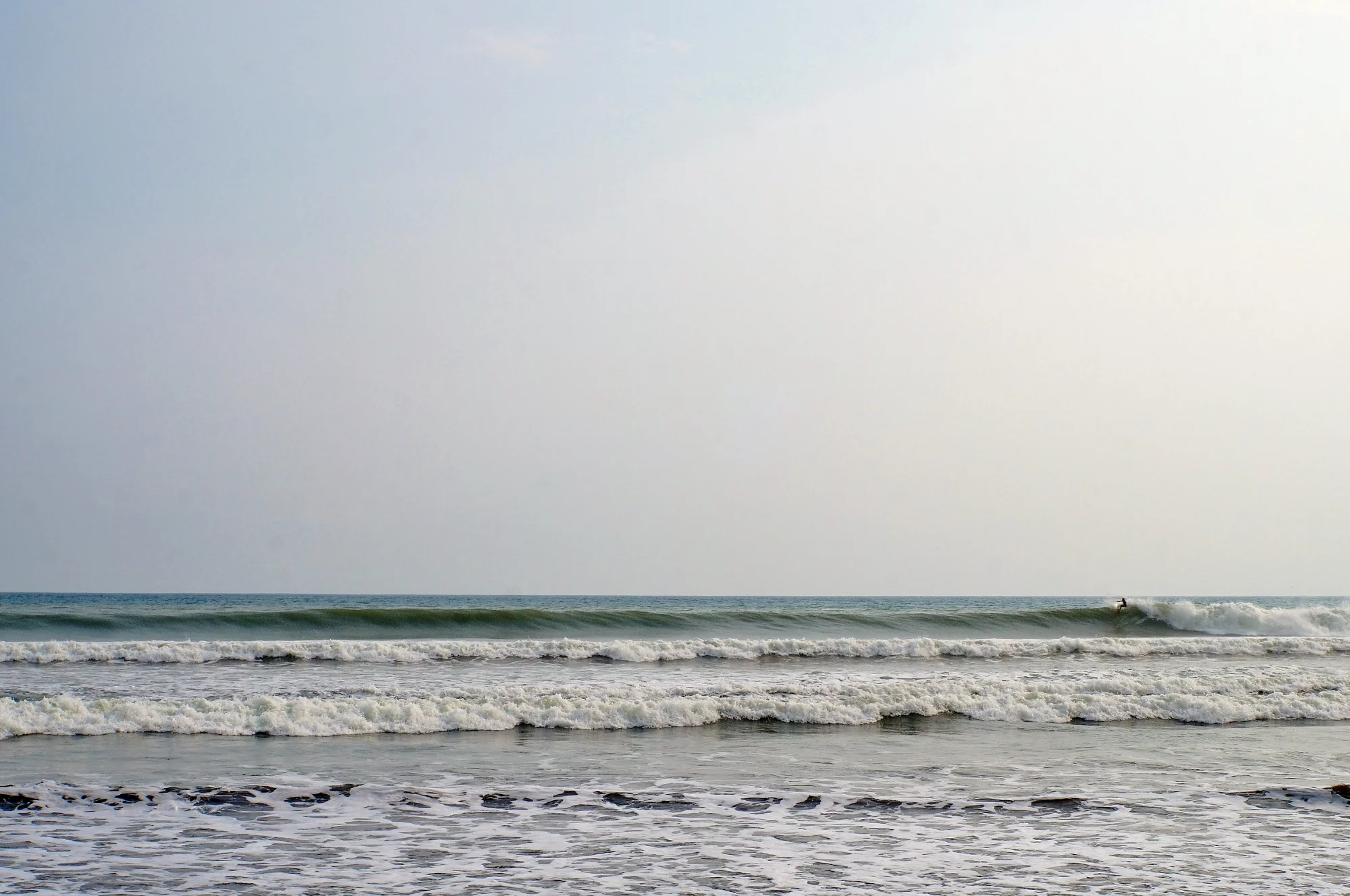 DSC09218 (2000x1328).jpg