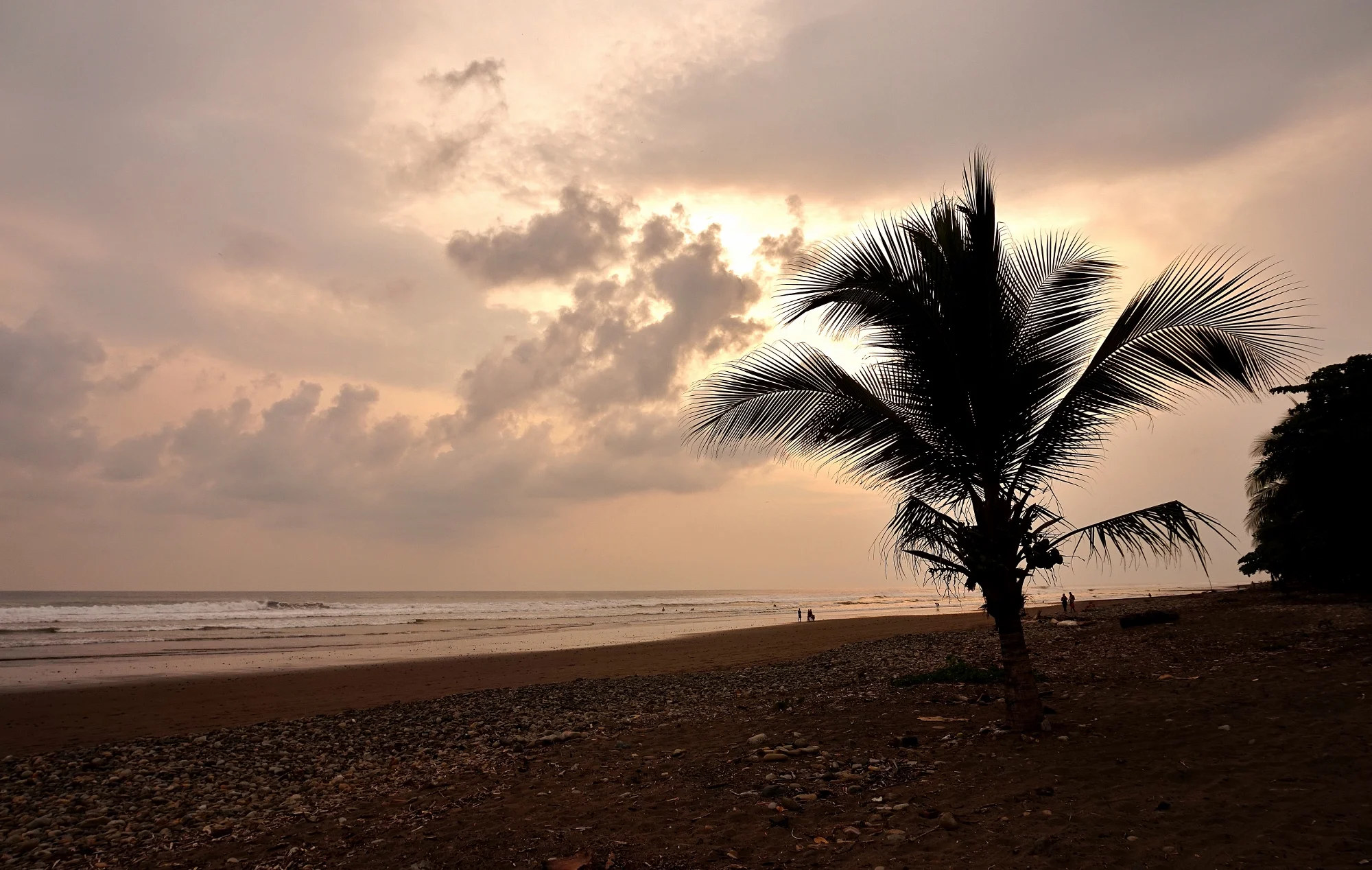 DSC09222 (2000x1268).jpg