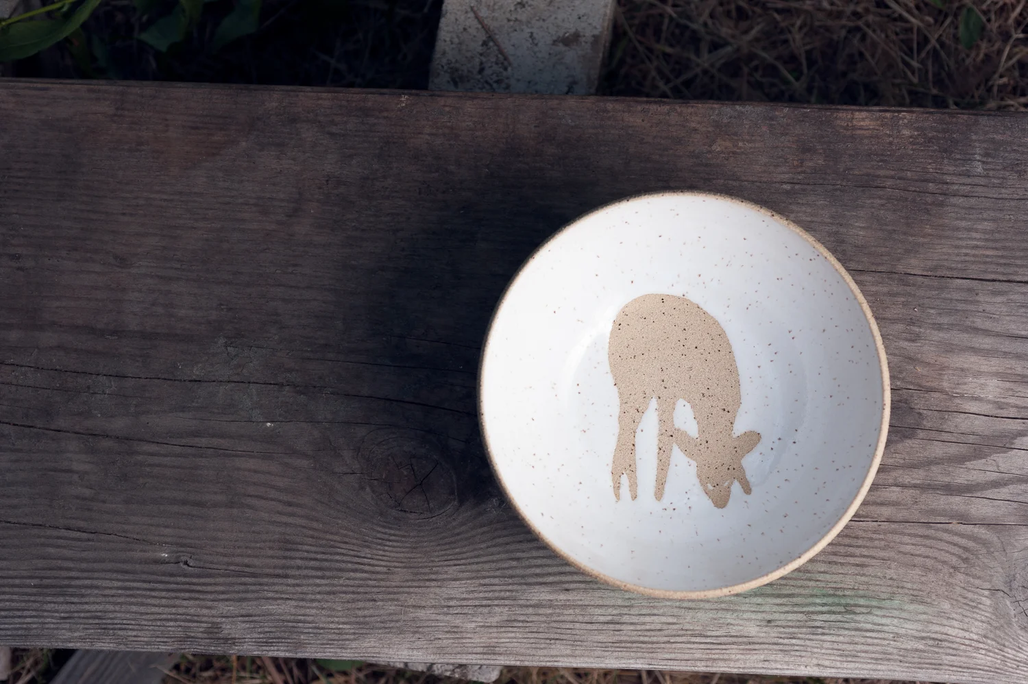 Everyday - Any Meal Bowl