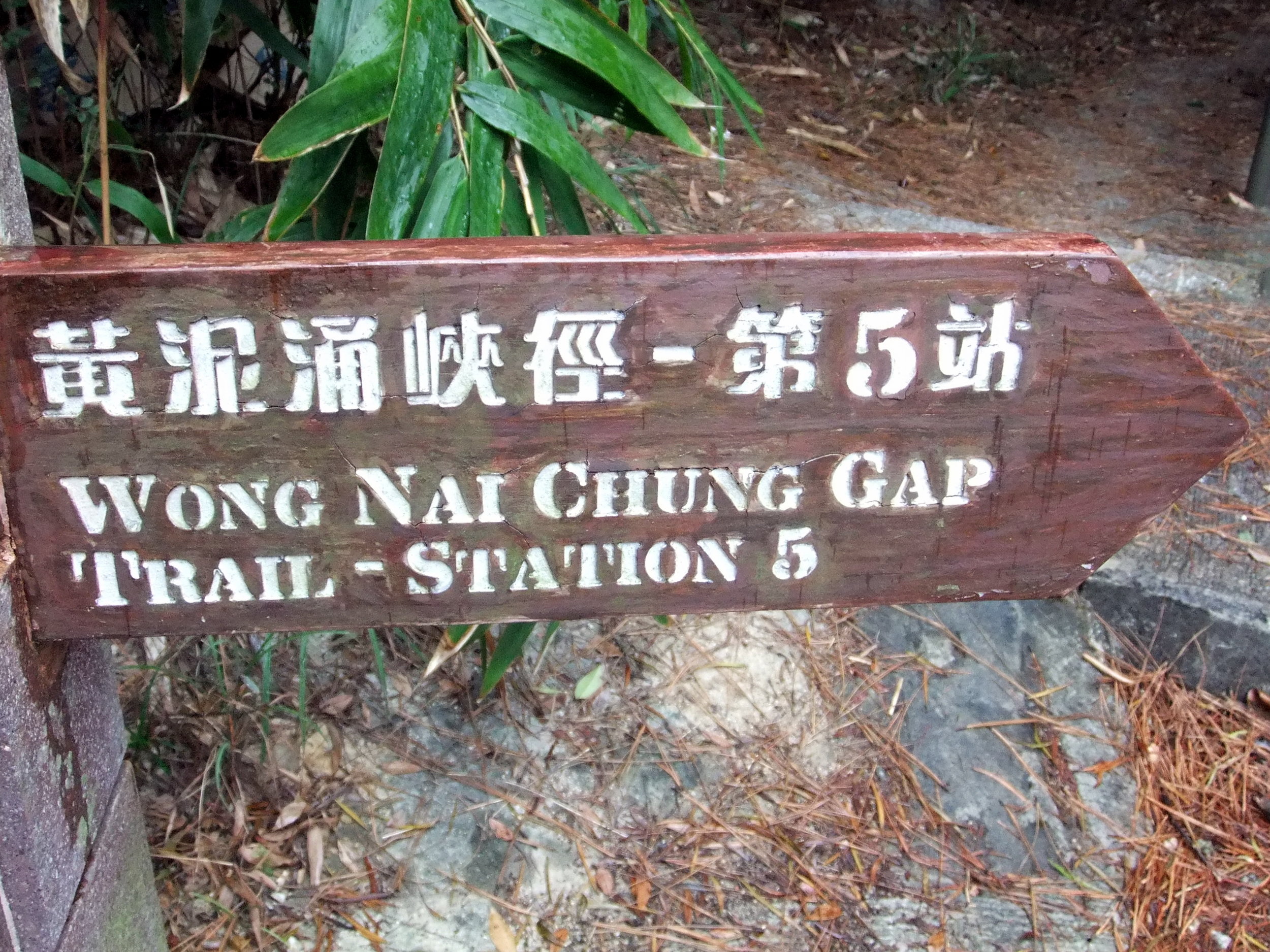 Wong Nai Chung Gap Trail