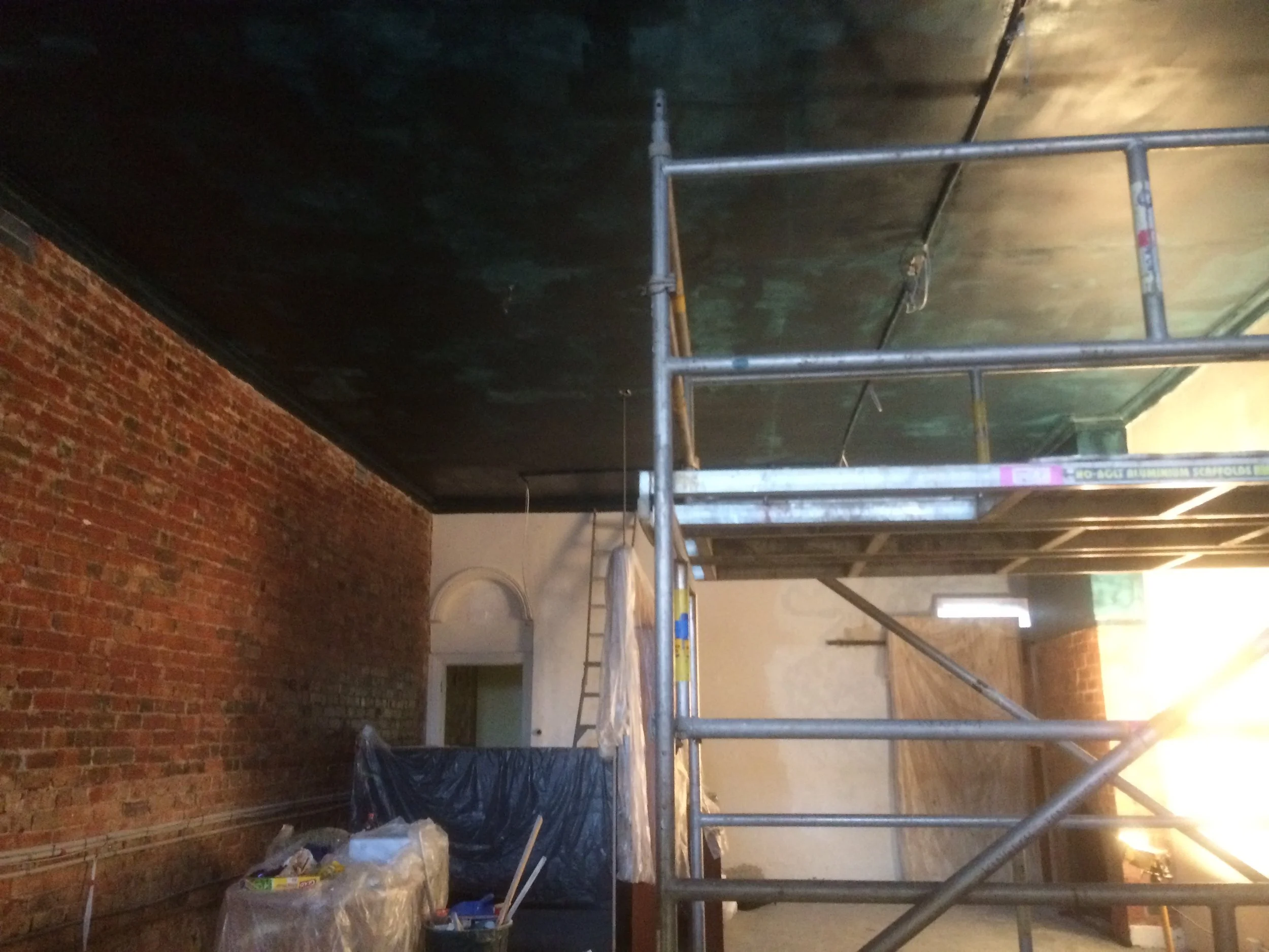 Finished painting the ceiling.