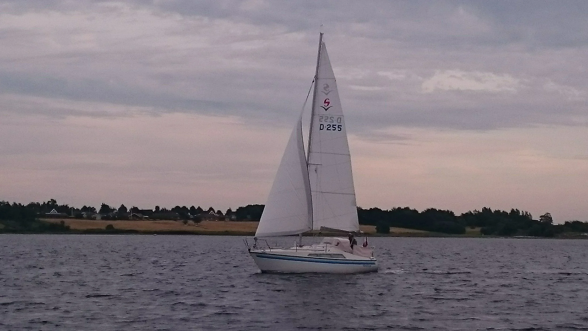 DSC_1402.jpg