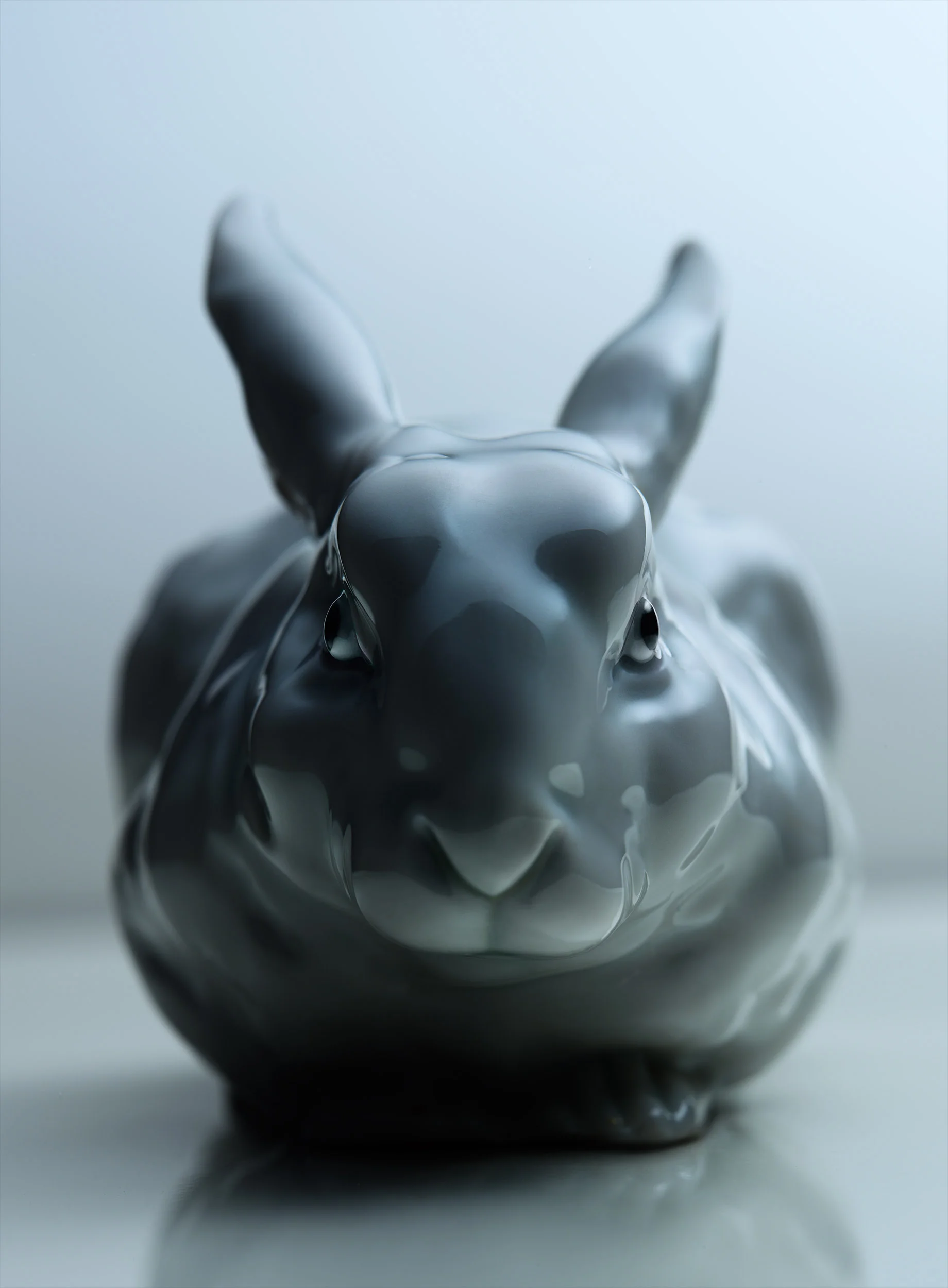 White Rabbit