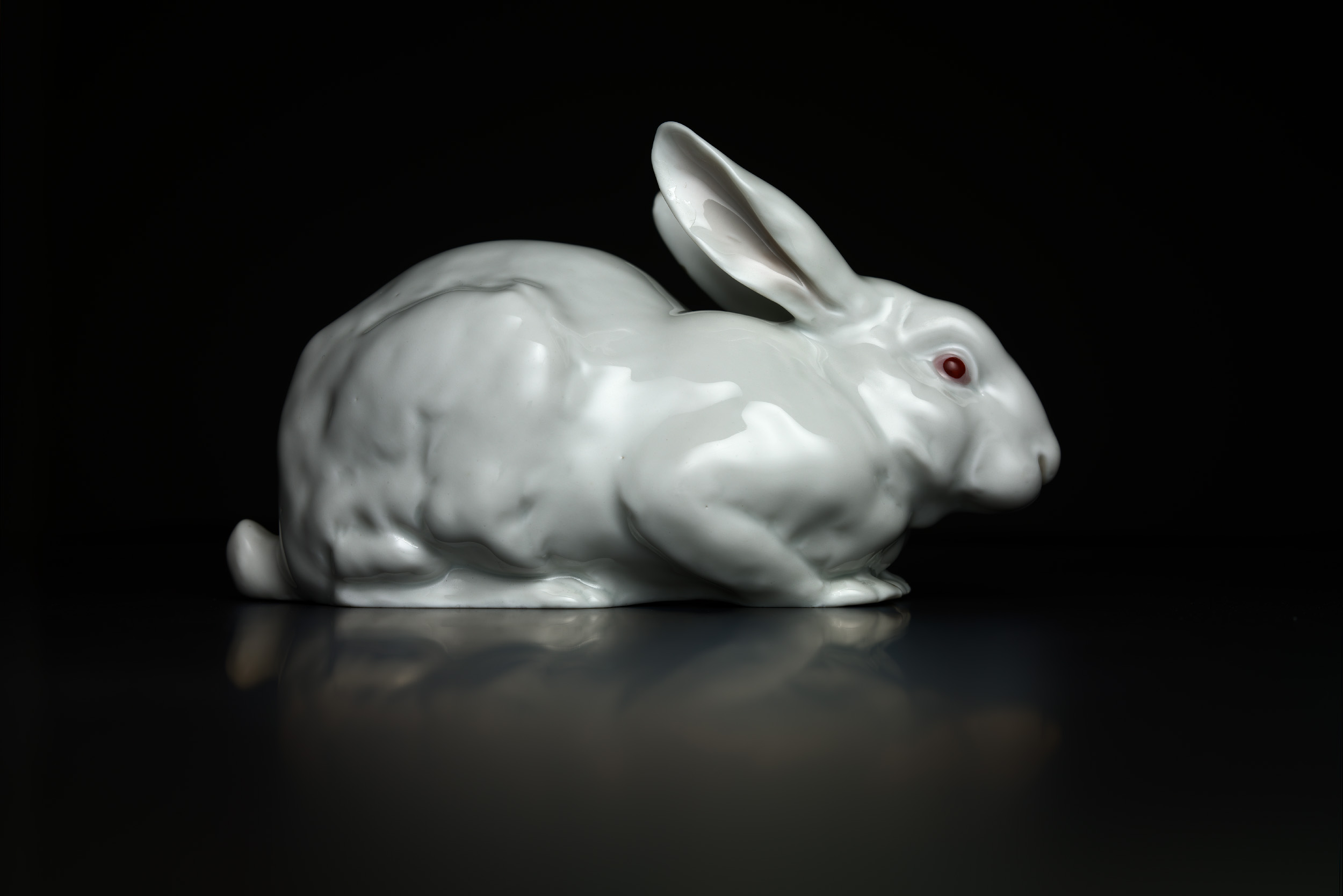  White Rabbit 