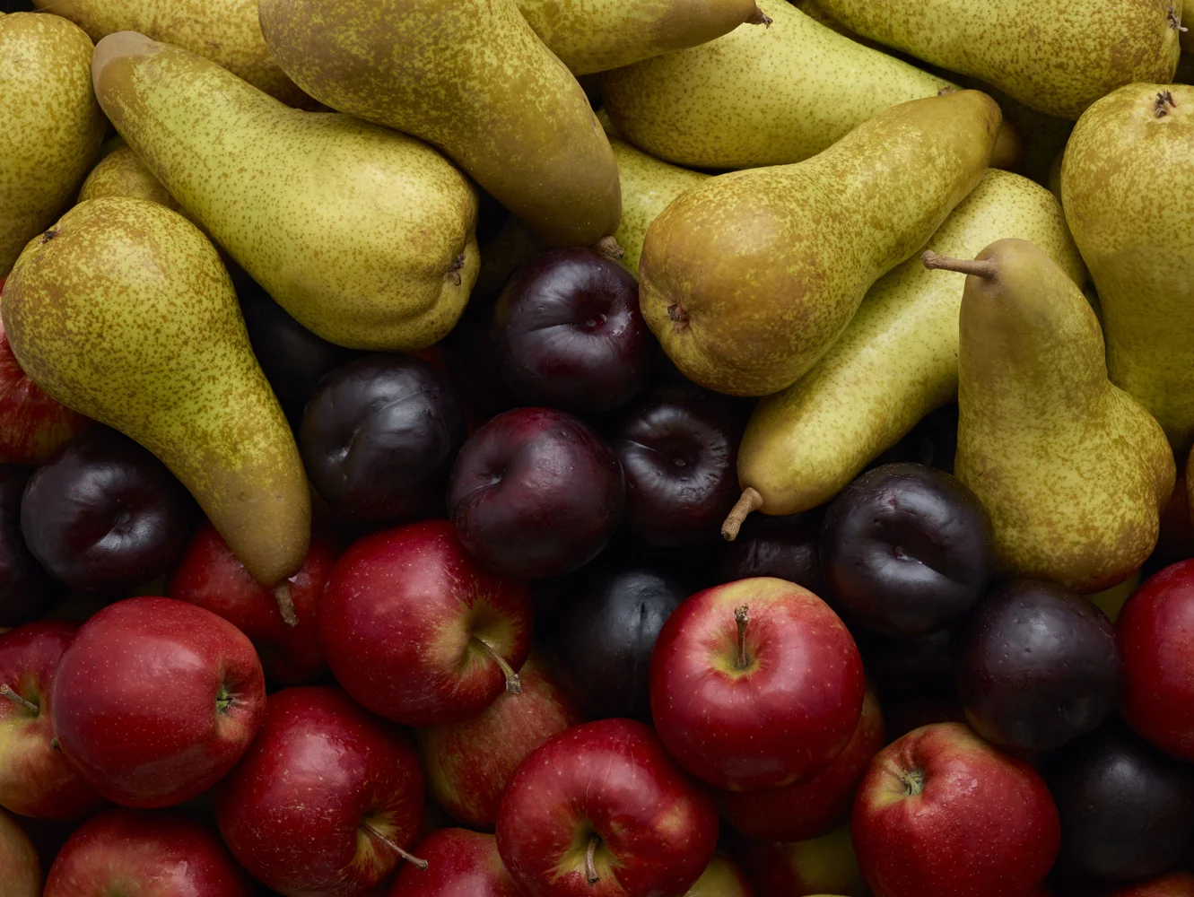 Apfel-Birne-Pflaume-7340.jpg