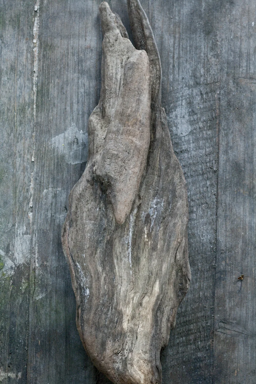 ZY5C9890.jpg