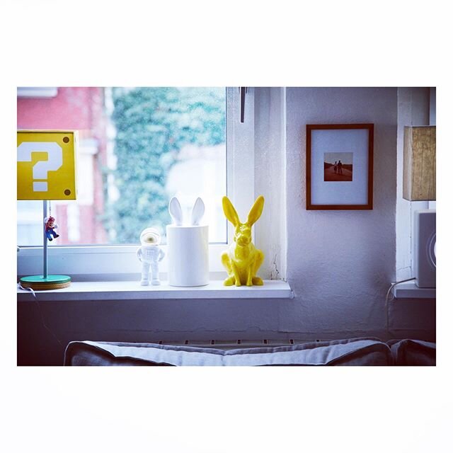 #home #homesweethome #bunny #bunnysofinstagram