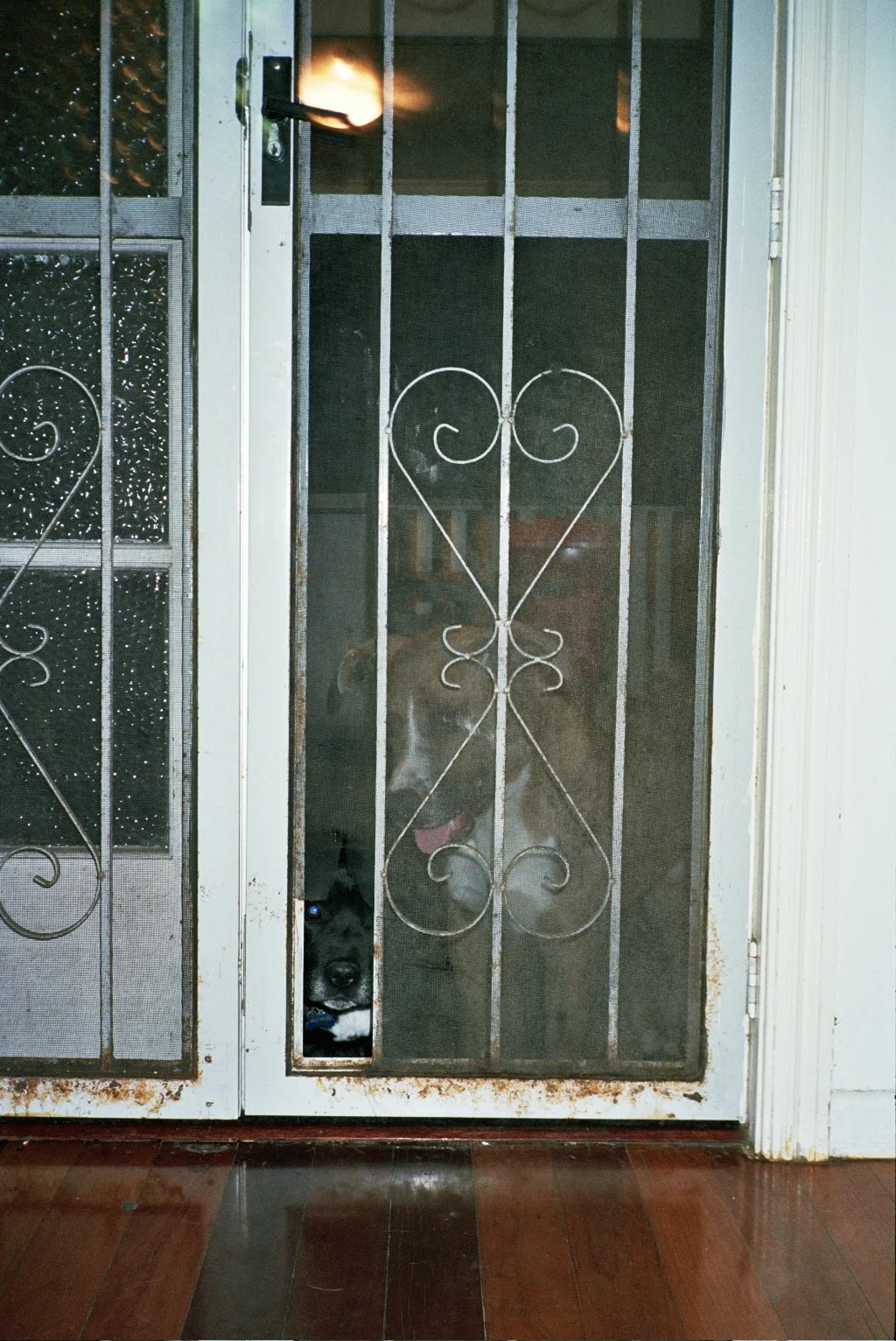 __7_0153.jpg