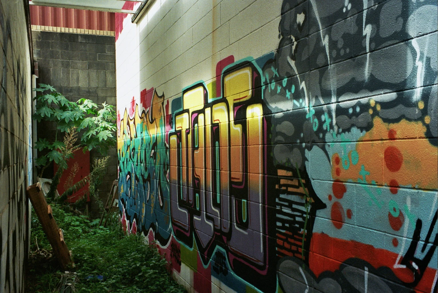 _21_0573.jpg