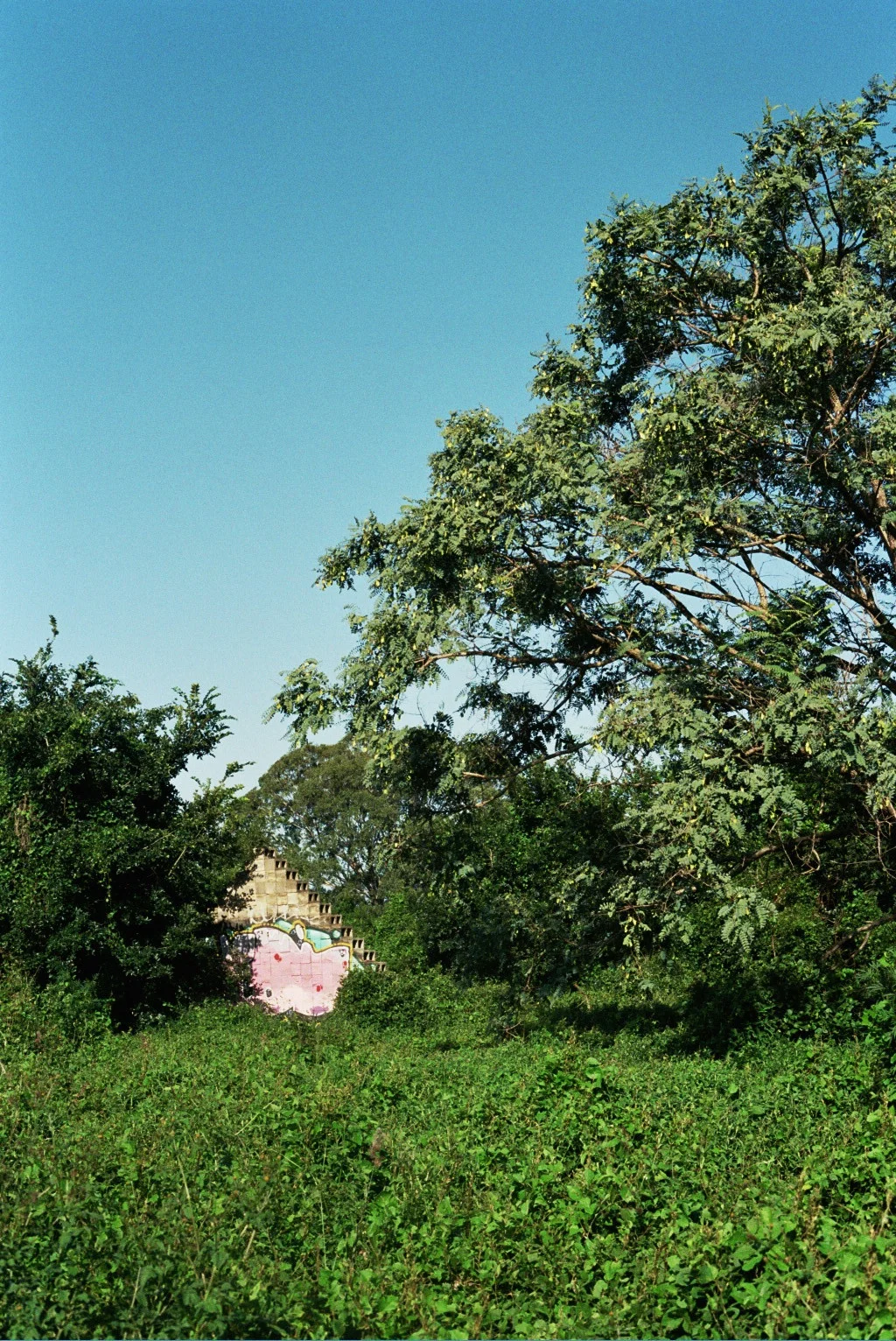 _6A_0765.jpg