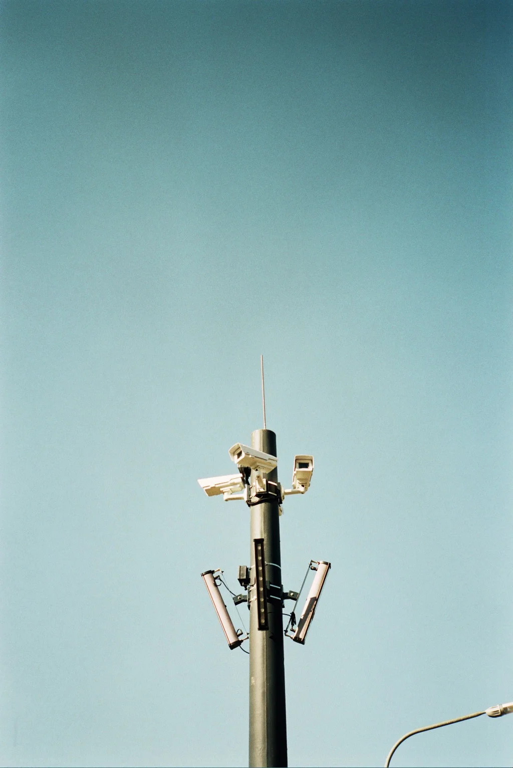 __6_0146.jpg