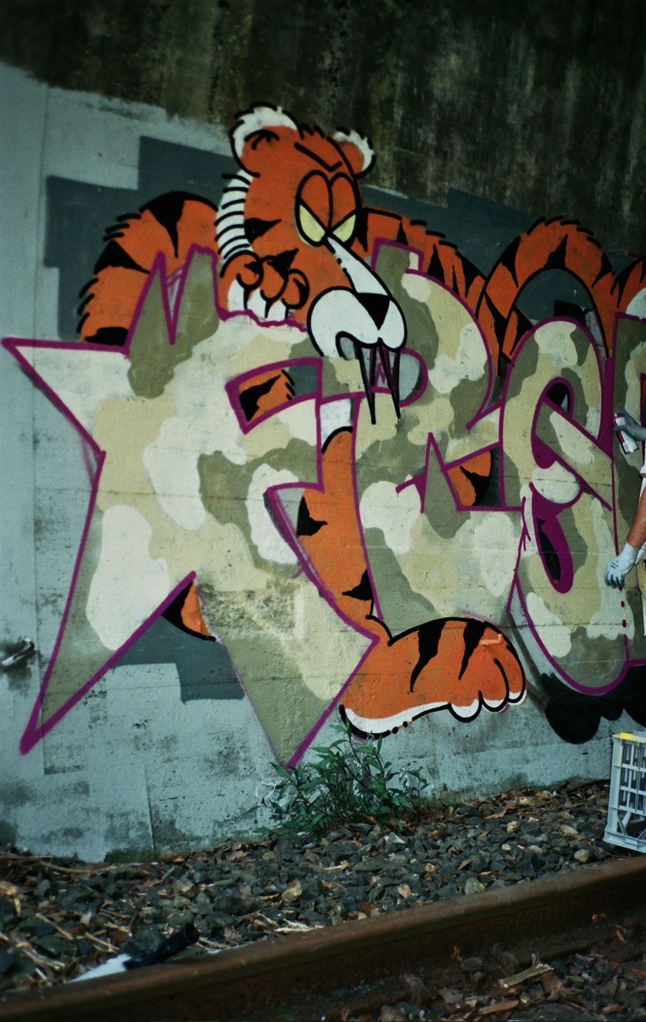 __6_0069.jpg