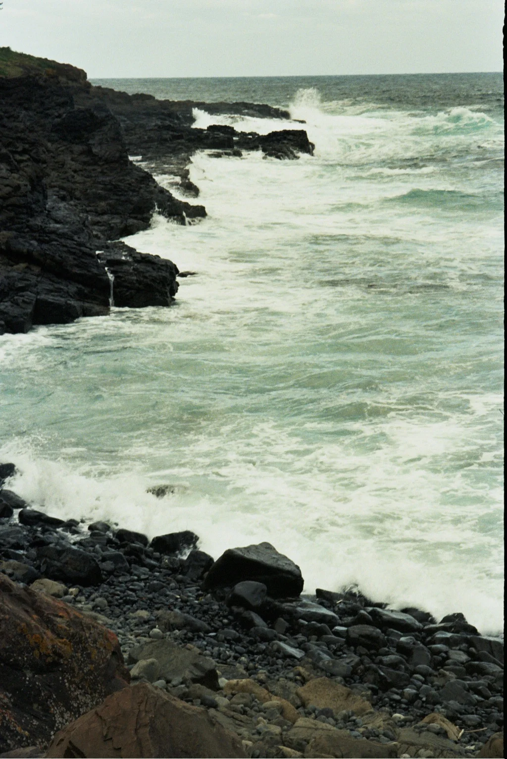 _19_0781.jpg