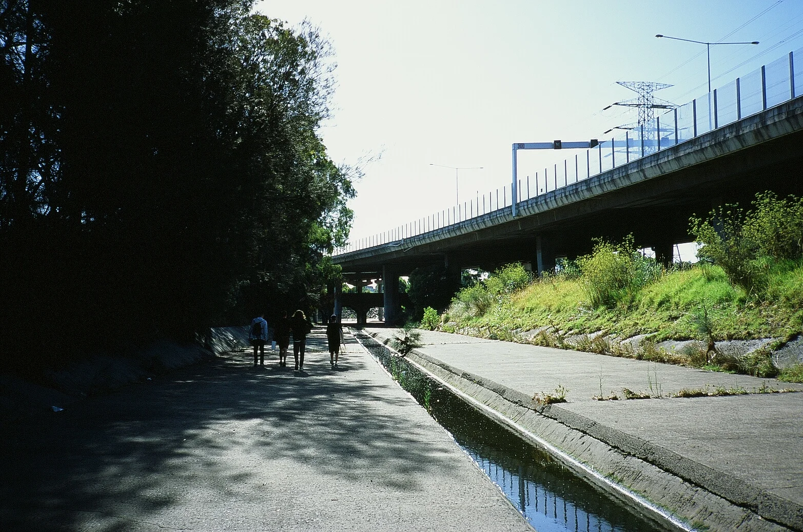 9022014.jpg
