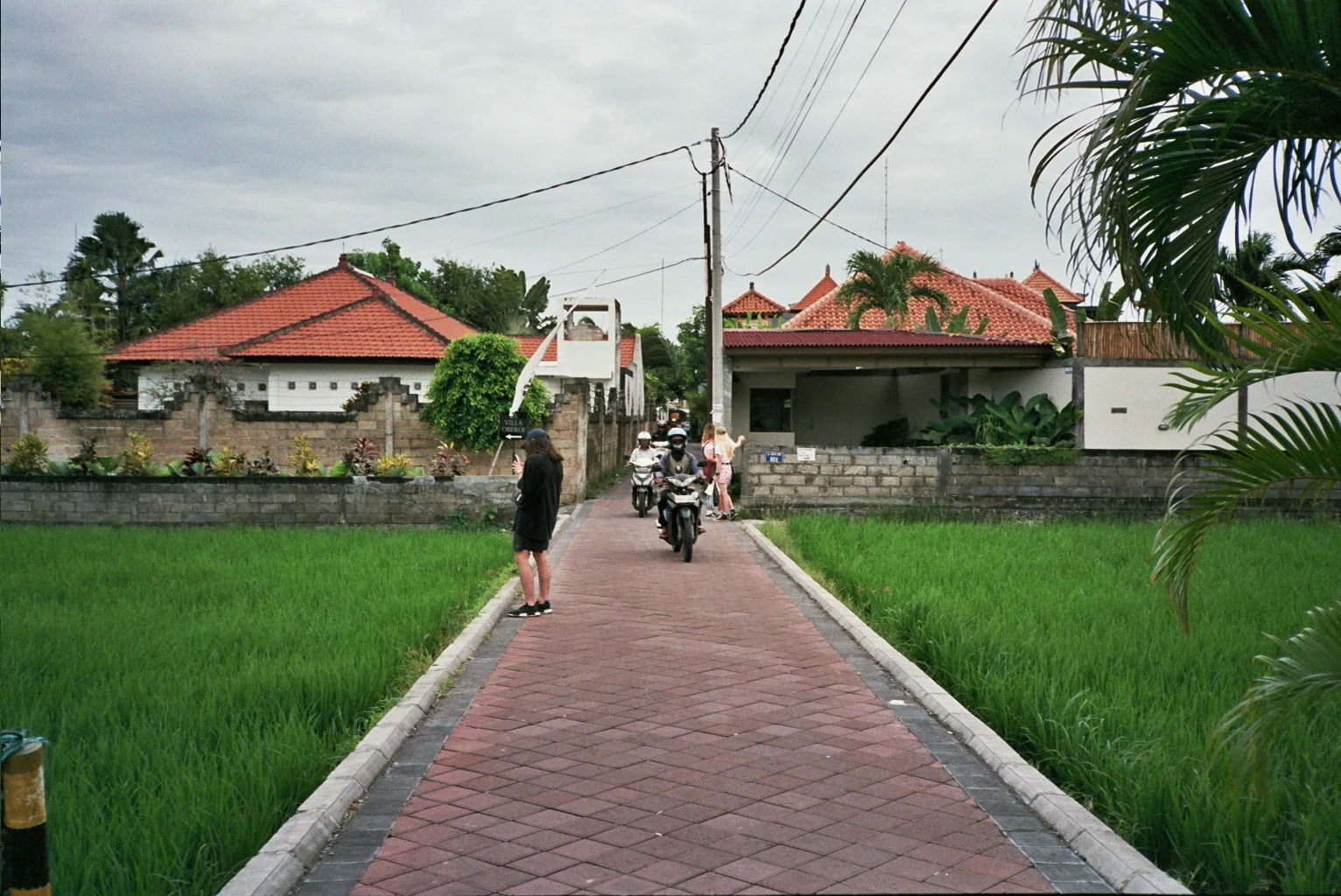 _5A_0564.jpg