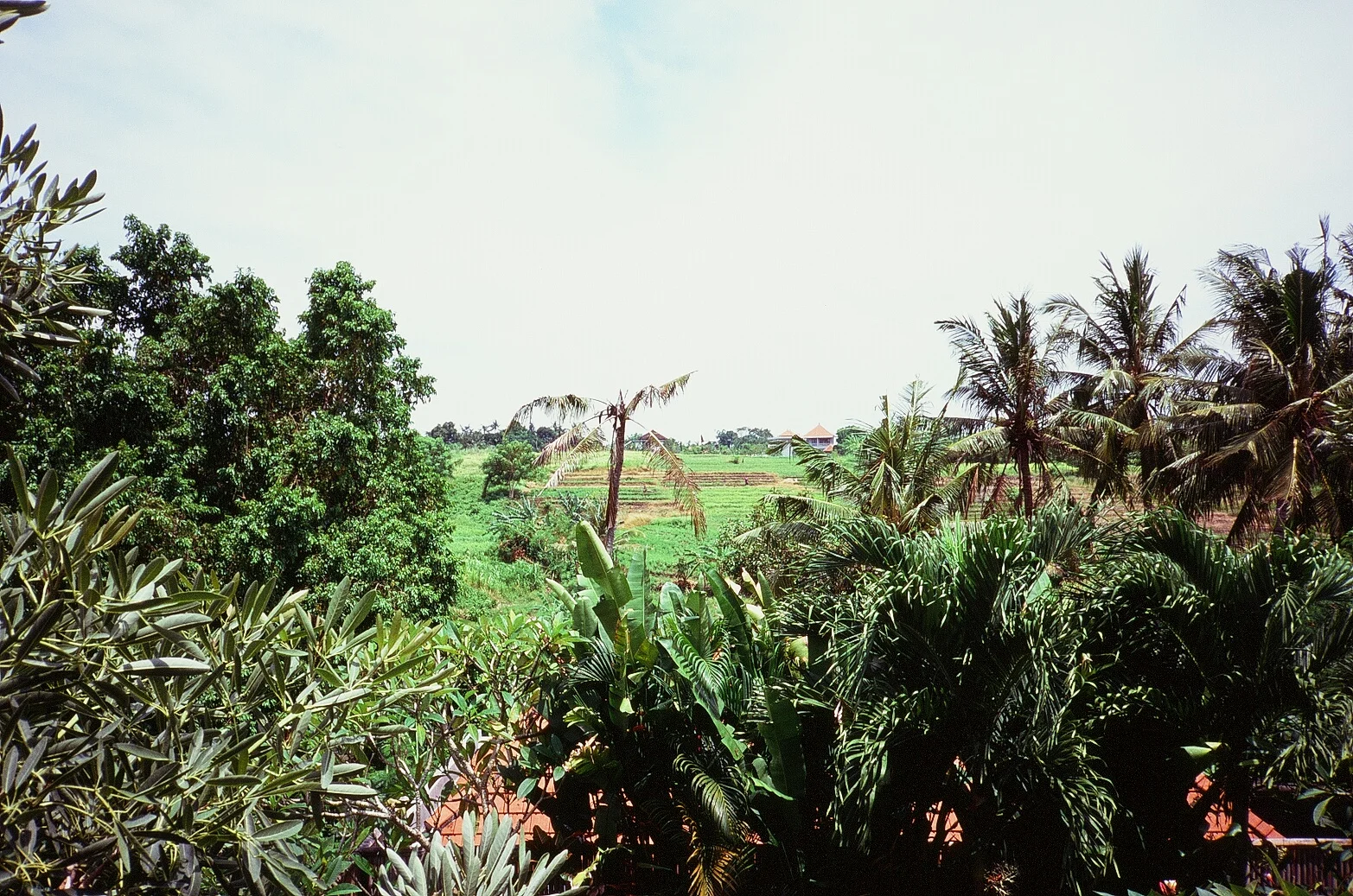 9024003.jpg