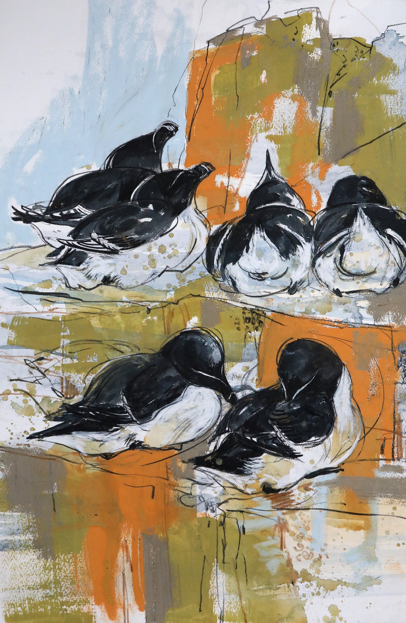  Snoozing Razorbills, mixed media on paper, 38×55cm, framed and glazed, £950 