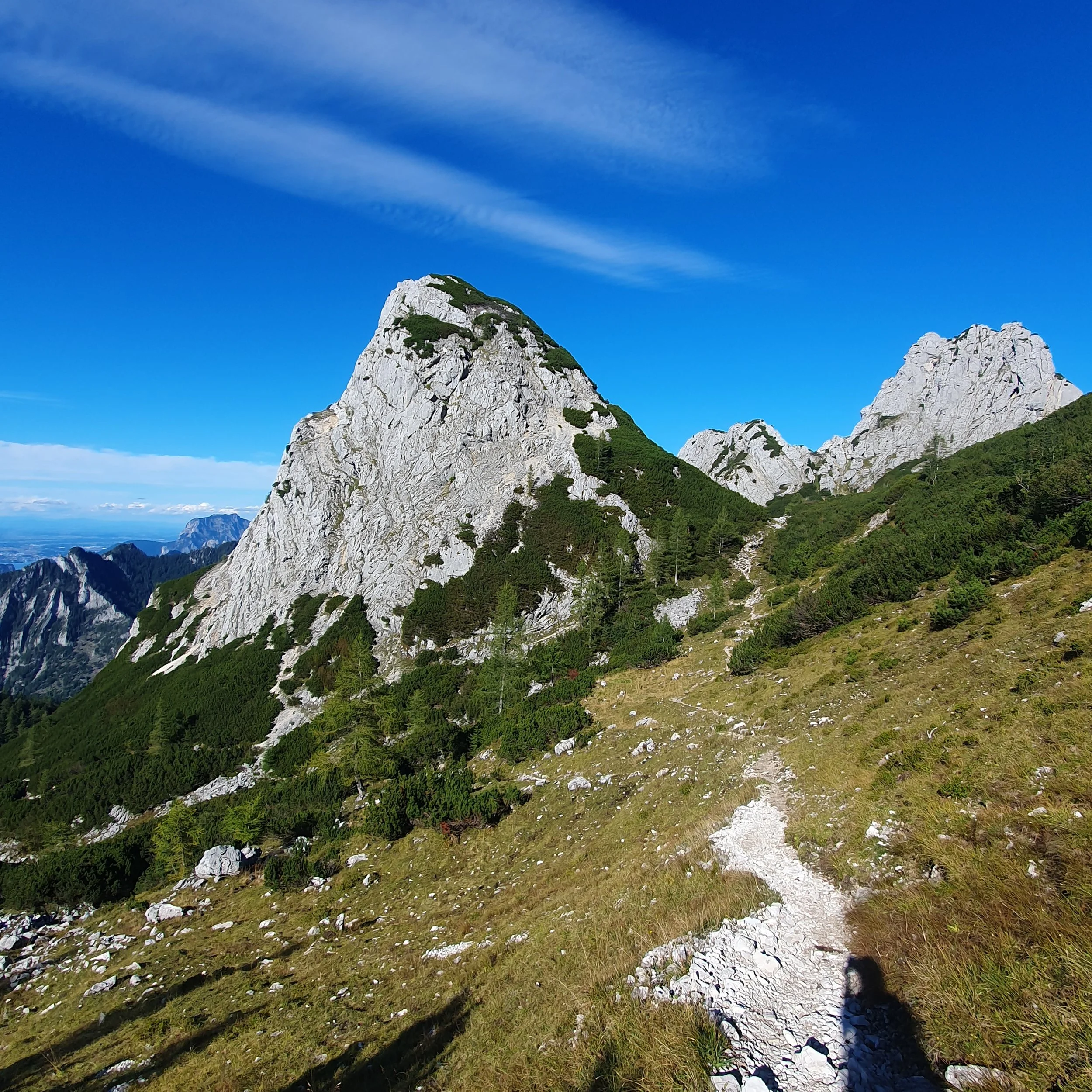 20250915_162133[1].jpg