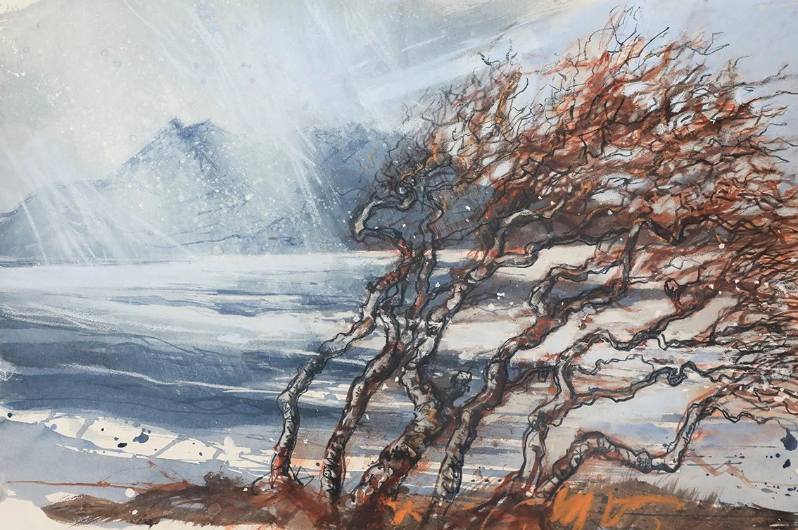  Hawthorn at the Strandline, mixed media on paper, 38×55cm, framed and glazed, £980 
