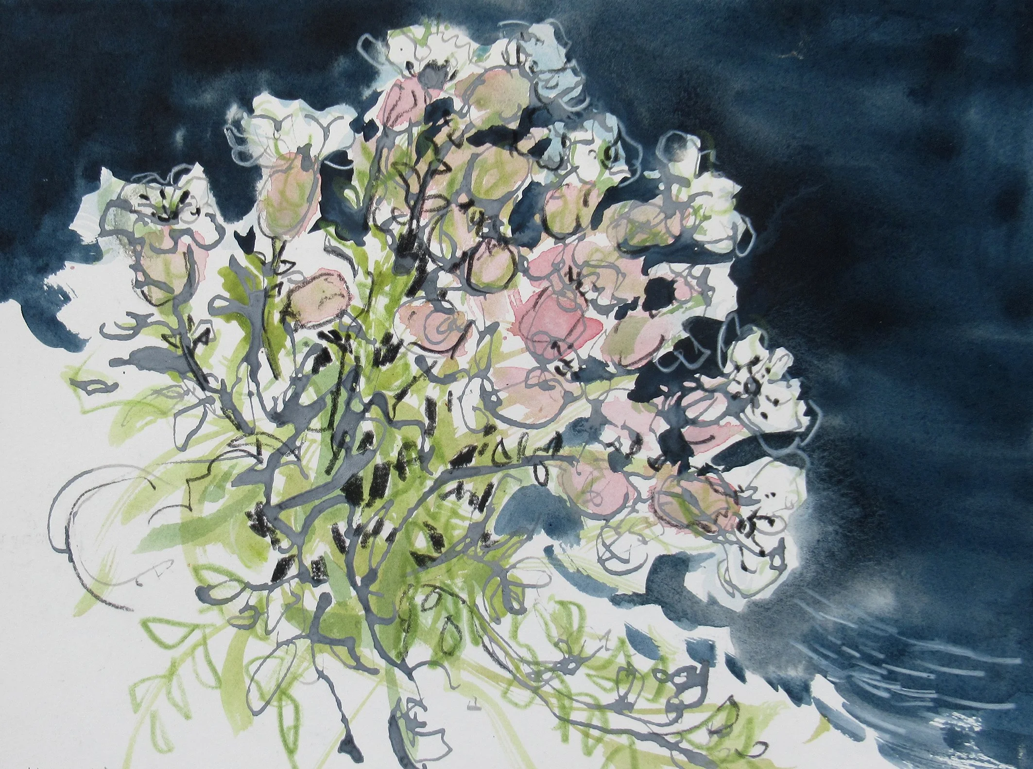 Sea Campion, mixed media on paper 
