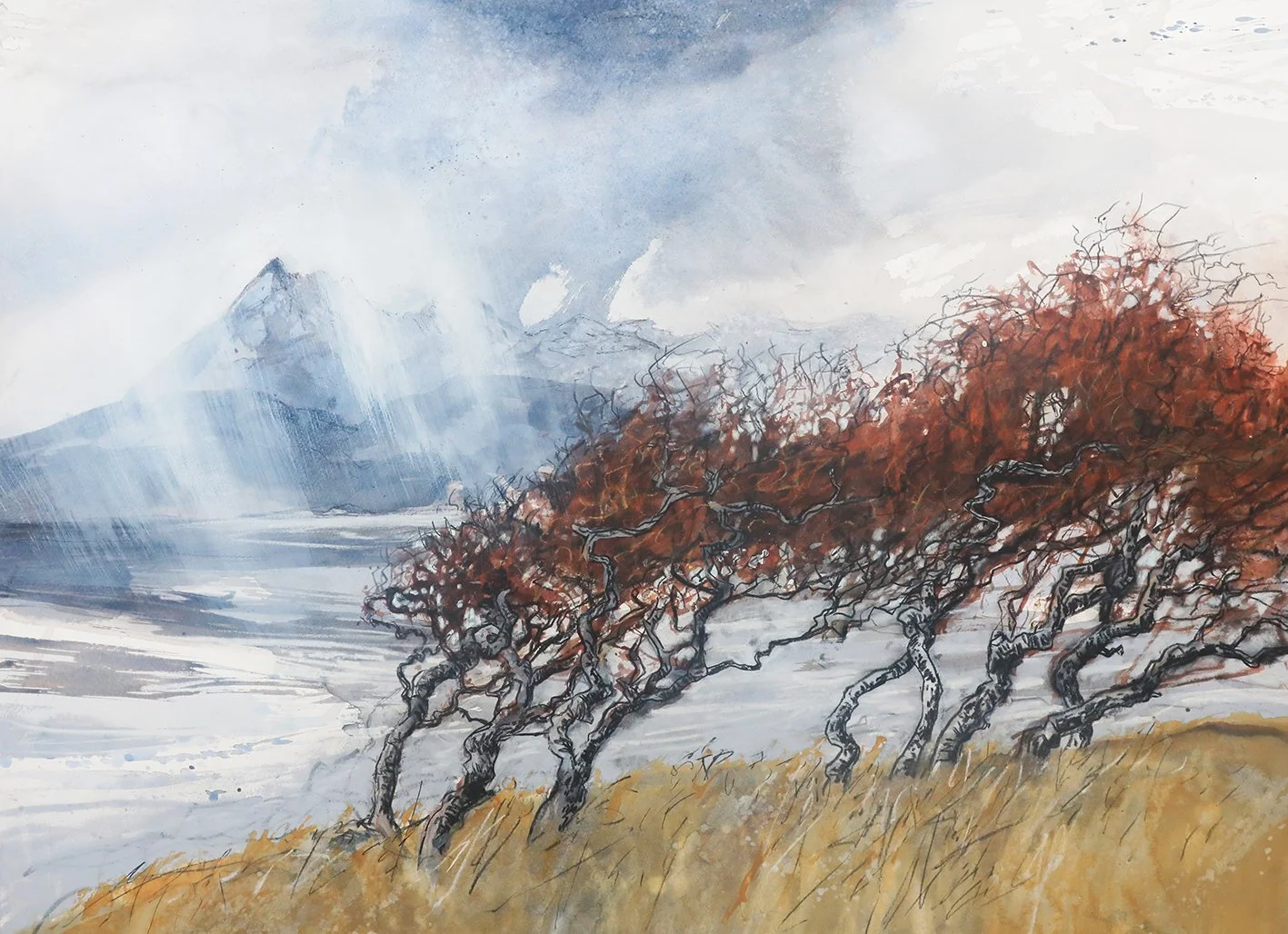  Tangled Hawthorn, mixed media on paper, 55×75cm, framed and glazed, £1690, sold 