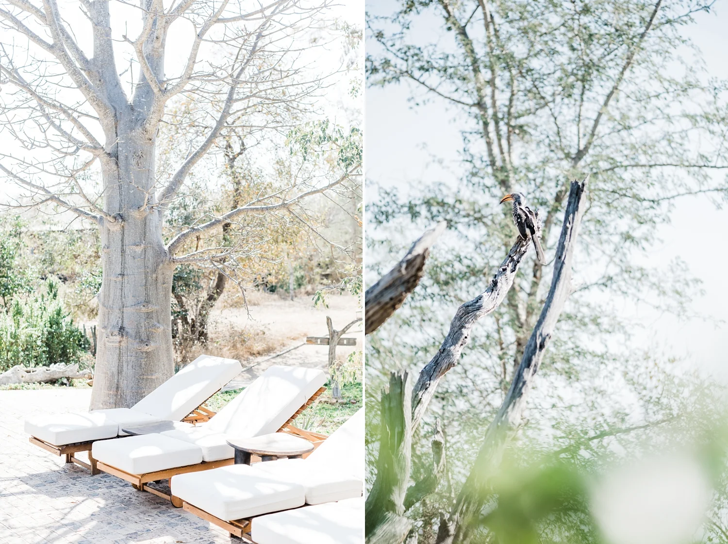 AliciaLandmanPhotography__0119.jpg