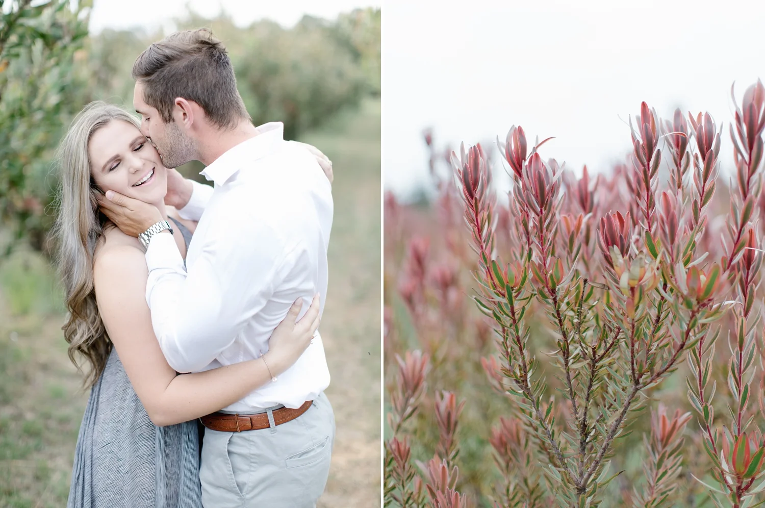 AliciaLandmanPhotography__0822.jpg