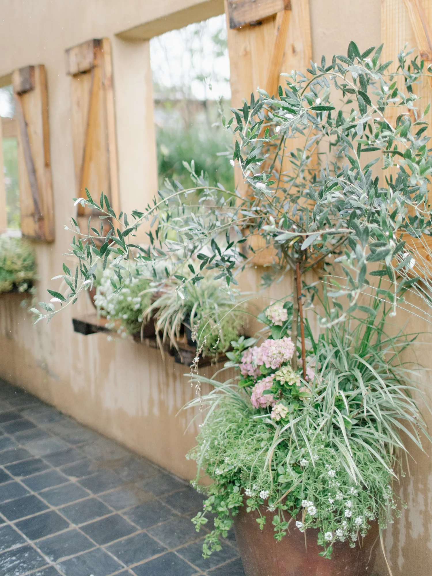 AliciaLandmanPhotography__1011.jpg