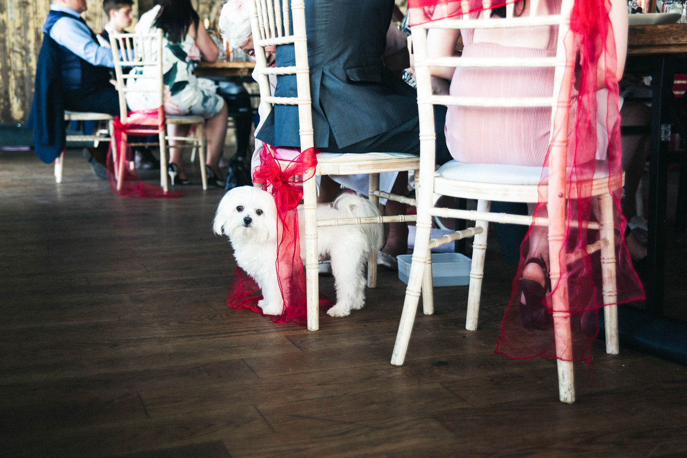 teesside-middlesbrough-north-east-wedding-photographer-creative-wedding-venues-0036.jpg